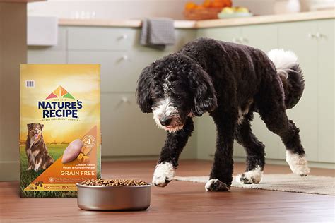 Nature's Recipe Dog Food Reviews: Uncovering the Best for Your Furry Friend