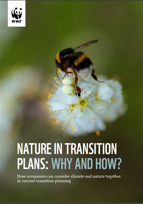 Nature's Transitions: