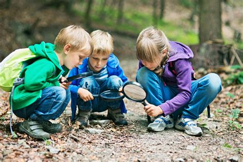 Nature Detectives Doc