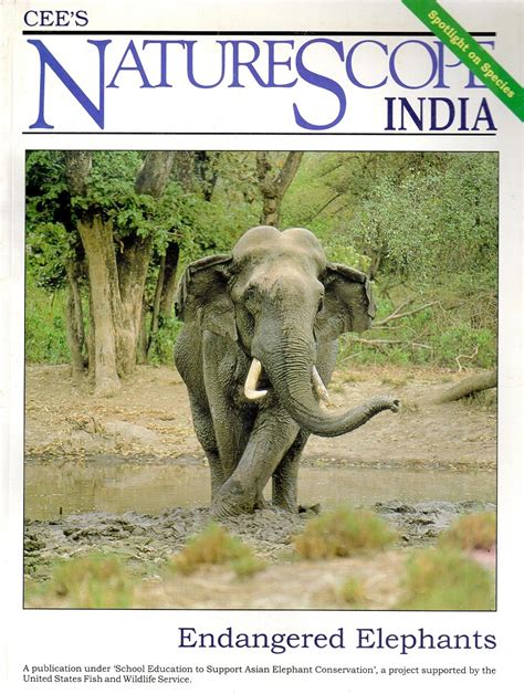 Nature Scope India Endangered Elephants Reader