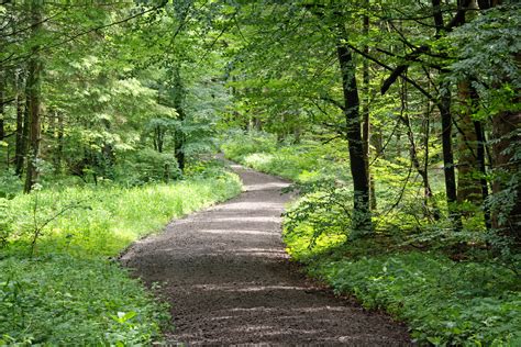 Nature Trails: