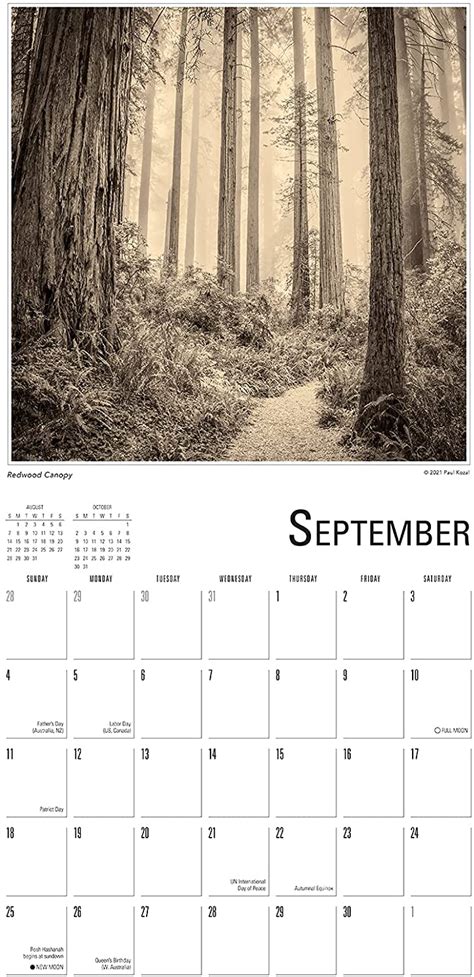 Nature Trees Photography Kozal Calendar Reader