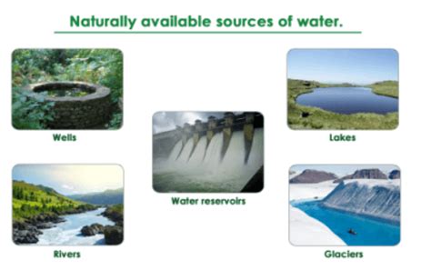 Nature and Sources: