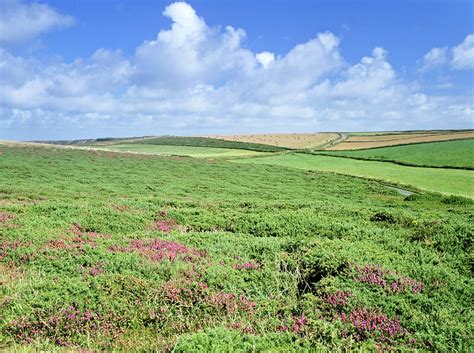 Nature in Downland Reader