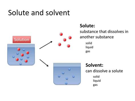 Nature of the Solvent and Solute: