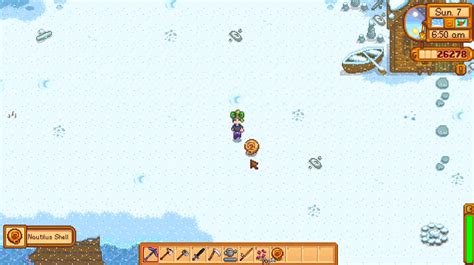 Nautilus Shell Stardew: 10000+ Word Guide