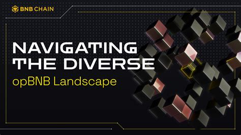 Navigating Binance's Diverse Trading Fee Landscape