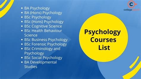 Navigating Psychology Courses in Polytechnic: A Comprehensive Guide