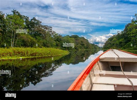 Navigating the Amazon's Tributaries: The Pao Rivers