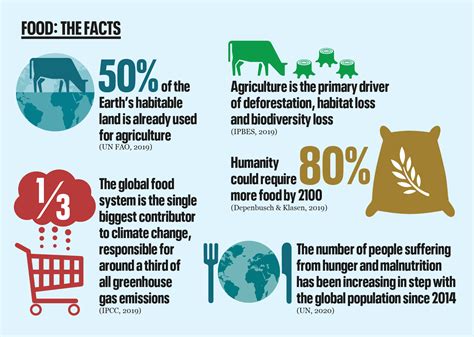 Navigating the Challenges of Food Scarcity