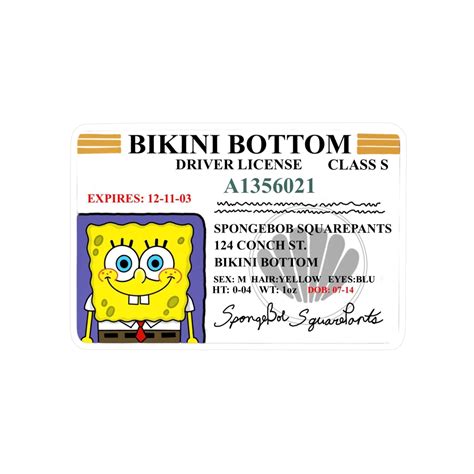 Navigating the Challenges of the SpongeBob Boating License