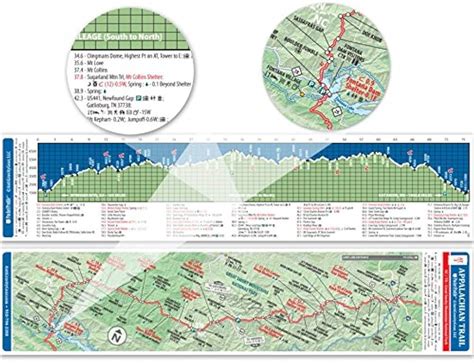 Navigating the Currents of the Rio Process: A Comprehensive Guide