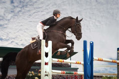 Navigating the Ever-Evolving Landscape of Equestrian Sports: A Deep Dive into Haley Hitch