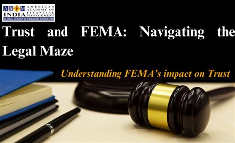 Navigating the Fem Law Maze