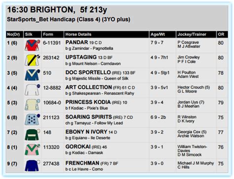 Navigating the Horse Racing Form Guide