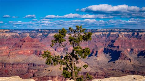 Navigating the Intricate Landscape of Insurance in the Grand Canyon State