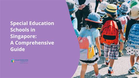 Navigating the Landscape of Special Education in Singapore: A Comprehensive Guide