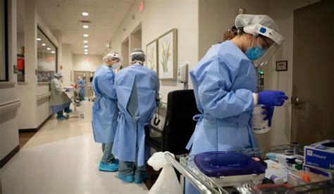 Navigating the Landscape of Texas' Prestigious Medical Institutions