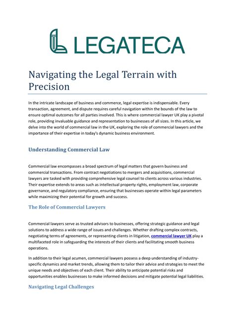 Navigating the Legal System with Determination and Precision