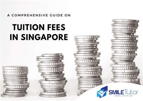 Navigating the Maze of School Fees in Singapore: A Comprehensive Guide