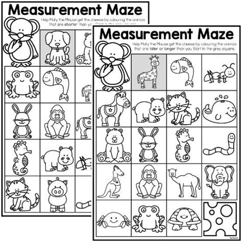 Navigating the Measurement Maze