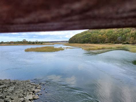 Navigating the Park's Enchanting Surroundings