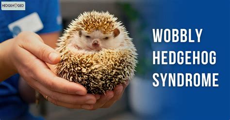 Navigating the Perplexities of Wobbly Hedgehog Syndrome: A Comprehensive Guide