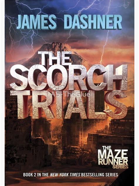 Navigating the Scorch Trials: A Journey of Resilience and Determination