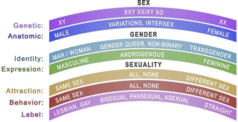 Navigating the Spectrum of Sexual Identity