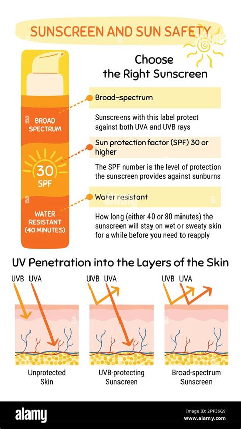 Navigating the Spectrum of Sun Protection