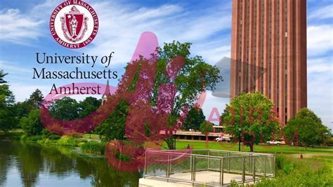 Navigating the Spire Logon UMASS