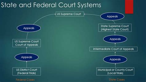 Navigating the State Court System: A Comprehensive Guide to the State Court Hotline