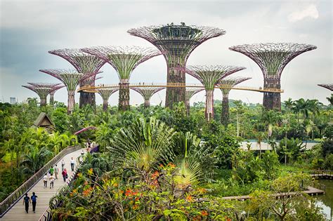 Navigating the Vast Landscape of Study Spaces in Singapore