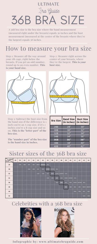 Navigating the World of 36B Bra Cups: A Comprehensive Guide