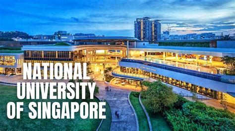 Navigating the World of Research: Insights from a National University of Singapore Professor