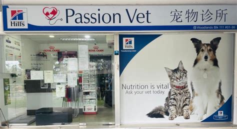 Navigating the World of Veterinary Care in Singapore