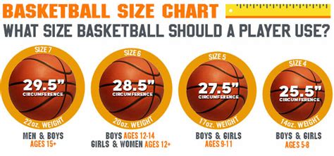 Nba Basketball Size Chart