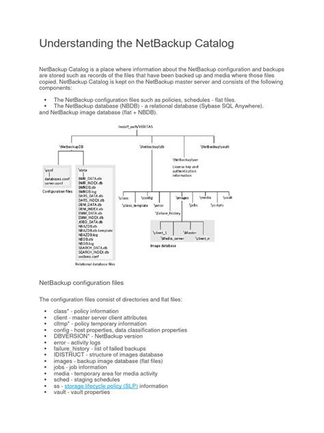 Nbu 7.7.3 Hot Catalog Backup
