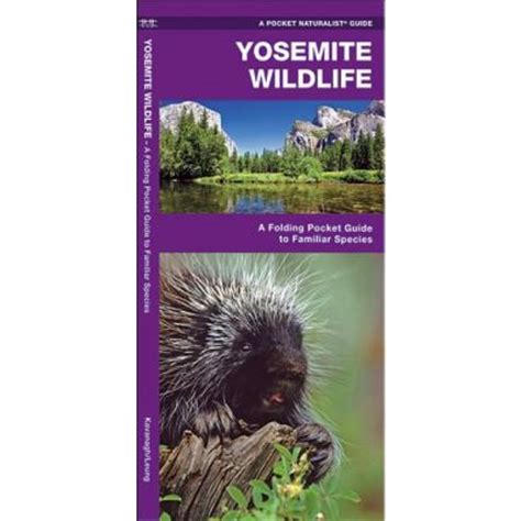 Nebraska Wildlife An Introduction to Familiar Species Kindle Editon