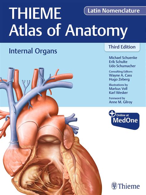 Neck and Internal Organs THIEME Atlas of Anatomy Epub