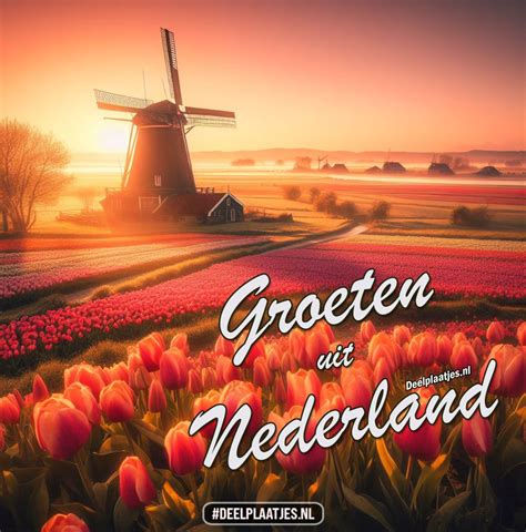 Nederland: Een land van mogelijkheden