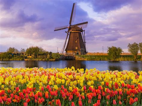 Nederland: Land van Bloemen, Grachten en Windmolens