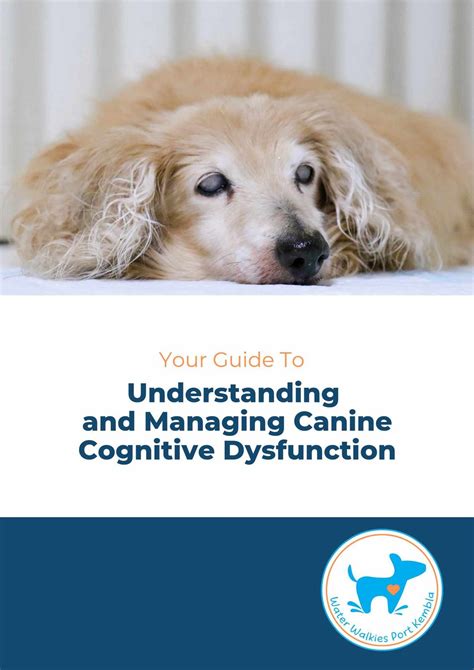 Neiro Dog: The Ultimate Guide to Harnessing the Cognitive Abilities of Your Canine Companion