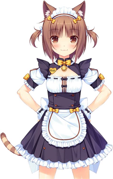 Nekopara Azuki: The Ultimate Guide to the Beloved Catgirl