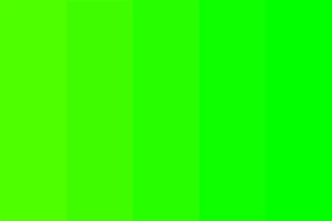 Neon Green Neon White: A Brilliant Guide to Illumination