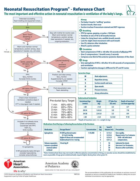 Neonatal Resuscitation Program (NRP) pdf Epub