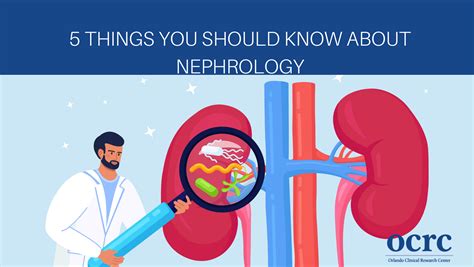 Nephrology PDF