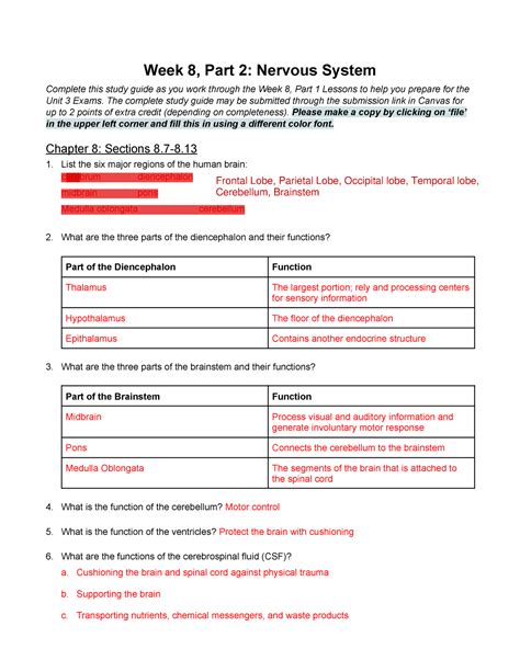 Nervous System Answer Key Lesson Plans Inc Doc