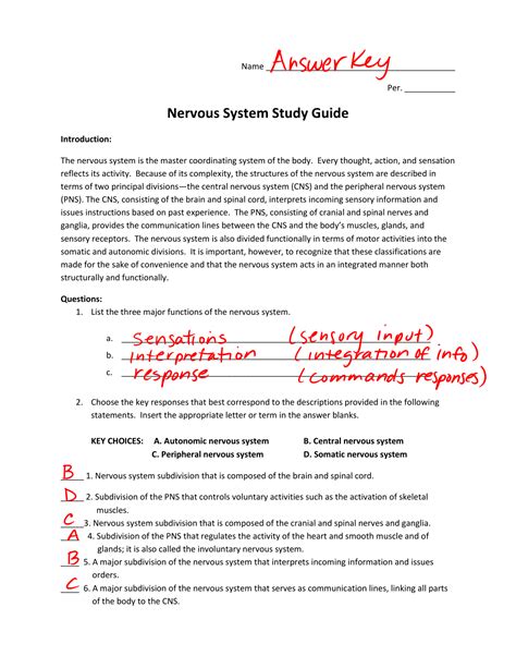 Nervous System Chapter Test Answers Doc