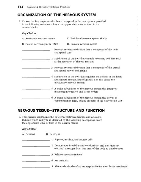 Nervous System Coloring Workbook With Answer Key Kindle Editon